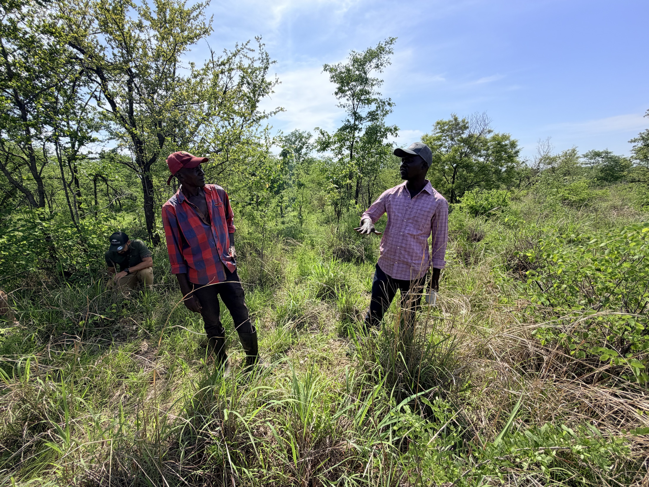 African Rangelands | Community-led rangeland restoration in Africa
