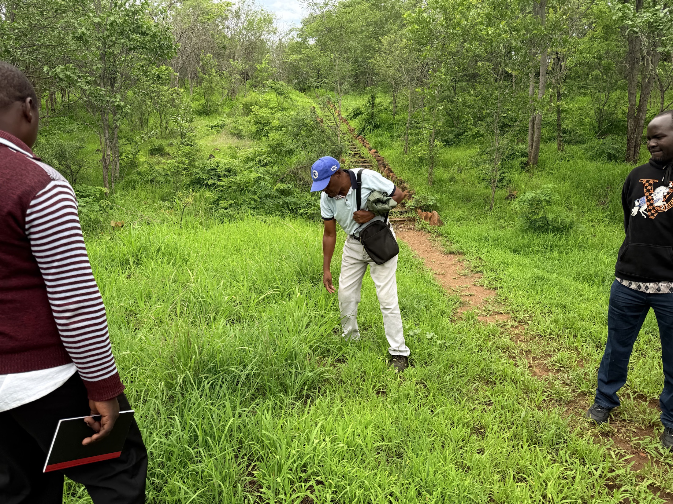 African Rangelands | Community-led rangeland restoration in Africa