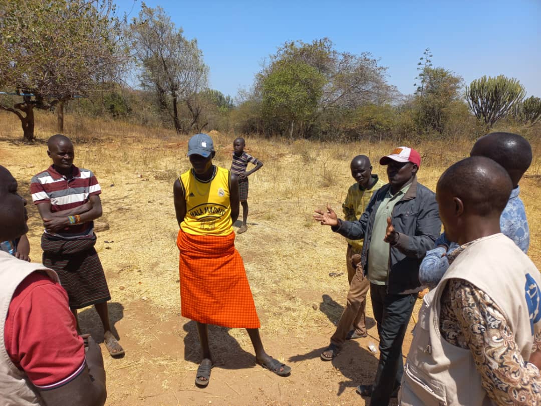 Côte d'Ivoire Regenerative Grazing project image